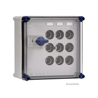 Miniatuur van Eaton Holec Halyester krachtgroepenkast GKS403 40A/3X25A