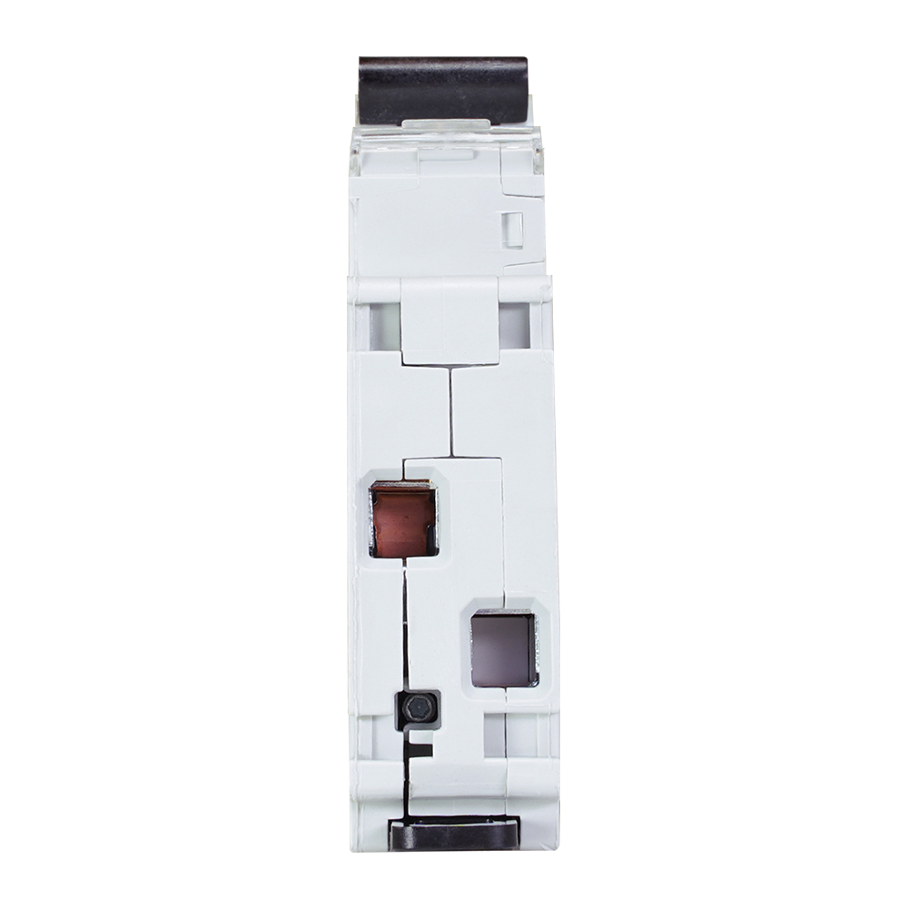 Miniatuur van ABB installatieautomaat 1-polig+nul 6A C-kar (SN201 L-C6)