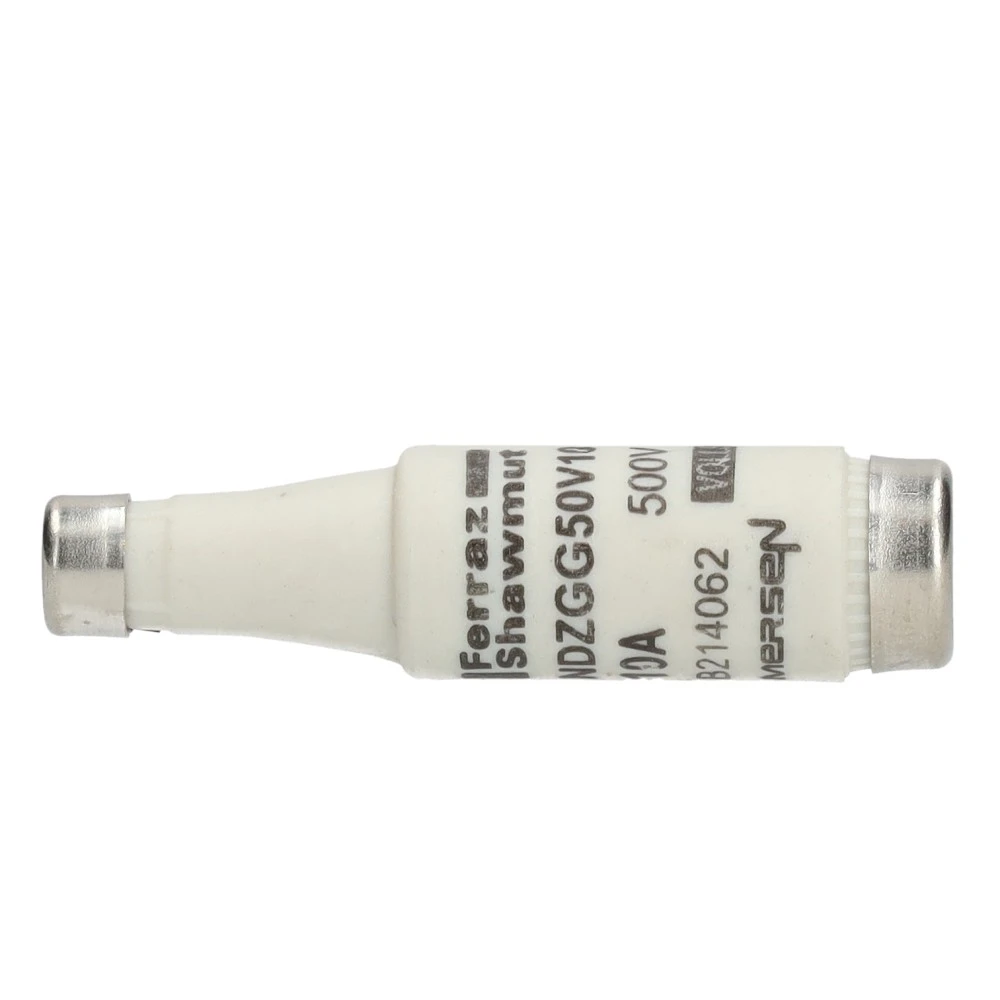 Miniatuur van fleszekering D1 10A traag (51265)