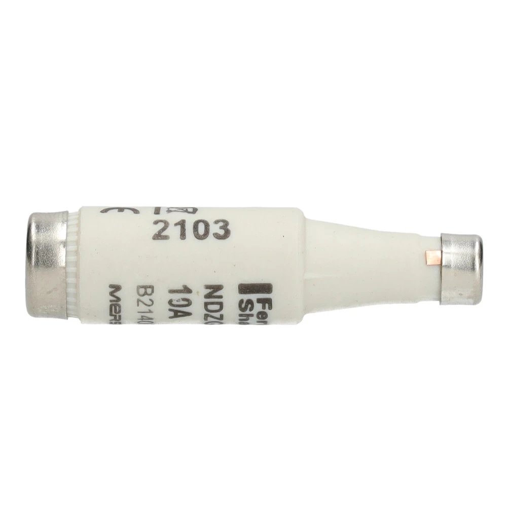 Miniatuur van fleszekering D1 10A traag (51265)