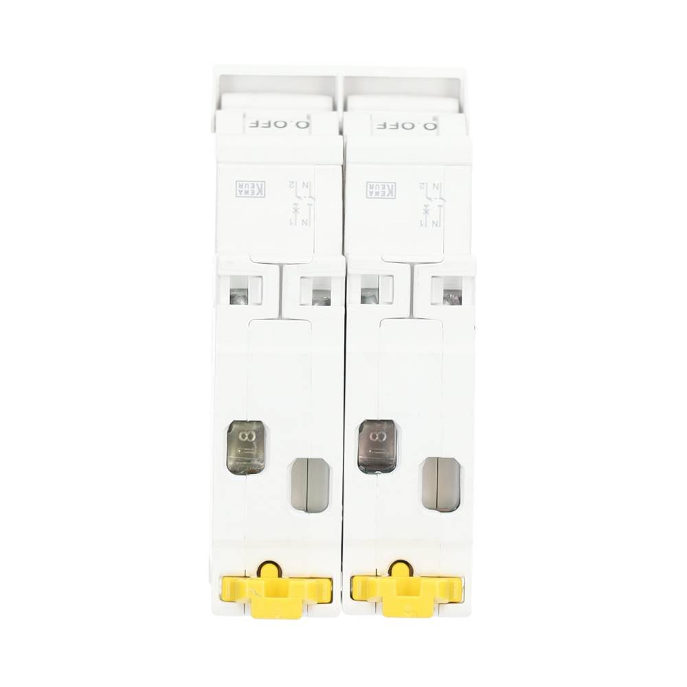 Miniatuur van Schneider Electric fornuisgroep 2-polig+2 nul 16A B-kar (R9P09816)