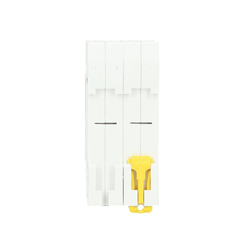 Miniatuur van Schneider Electric hoofdschakelaar 40A 1-fase (2P) (R9PS240)