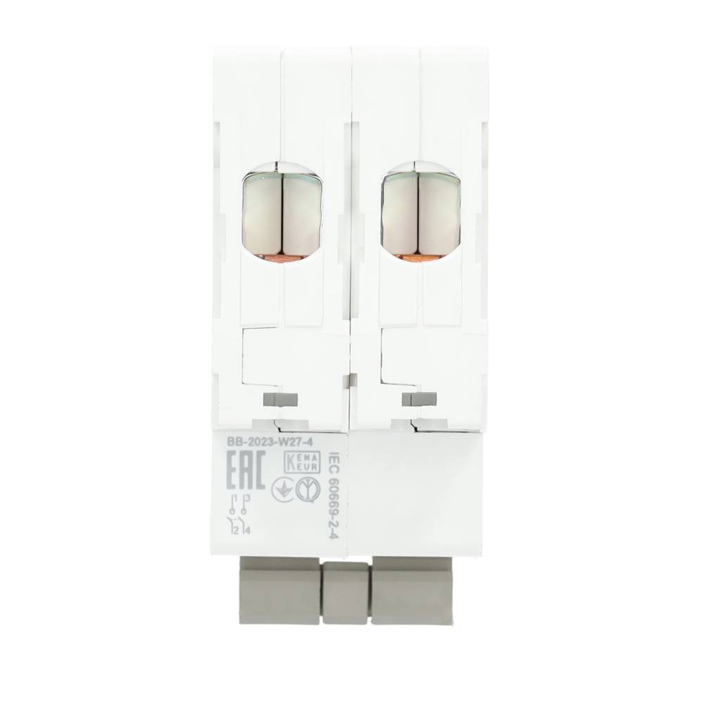 Miniatuur van Schneider Electric hoofdschakelaar 40A 1-fase (2P) (R9PS240)