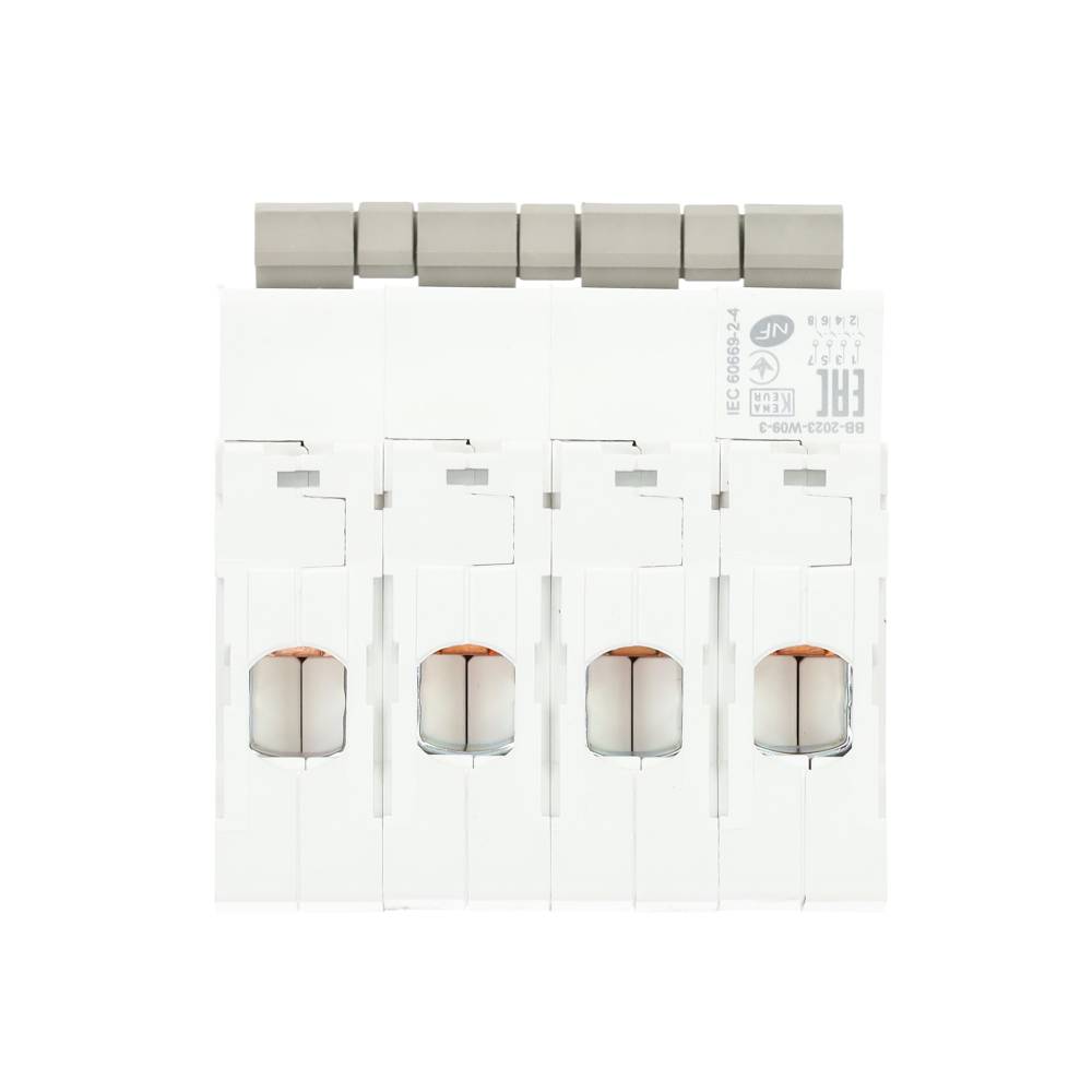 Miniatuur van Schneider Electric hoofdschakelaar 63A 3-fase (4P) (R9PS463)