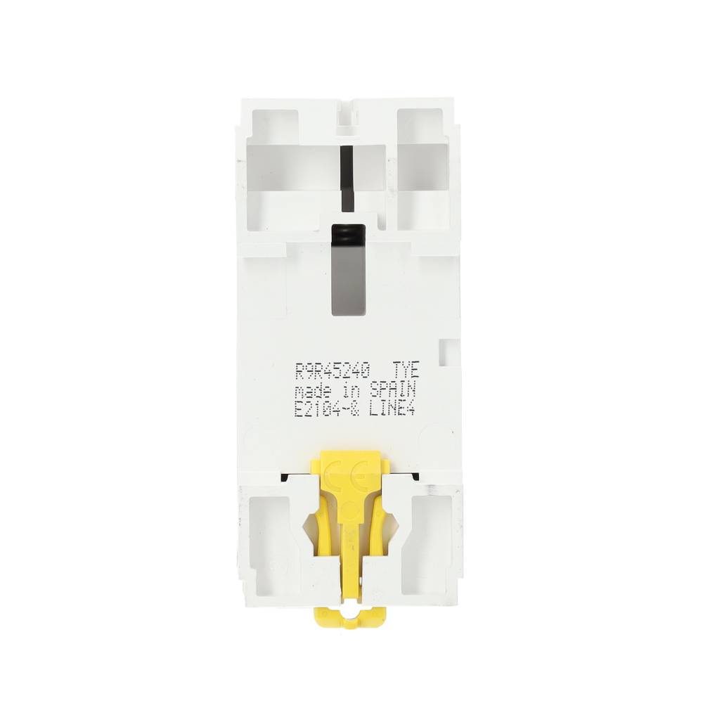 Miniatuur van Schneider Electric aardlekschakelaar 2-polig 40A 300mA type A (R9R45240)