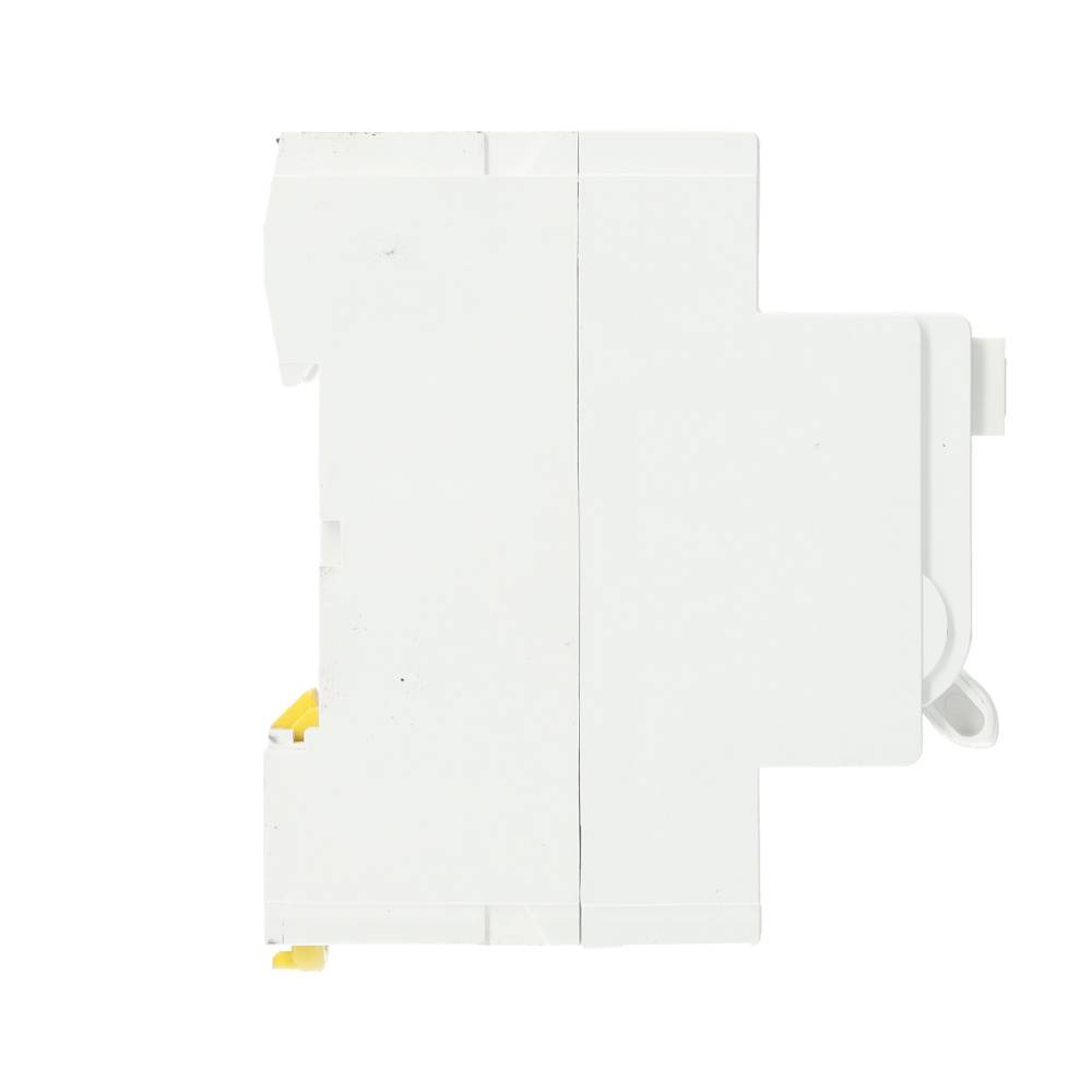 Miniatuur van Schneider Electric aardlekschakelaar 2-polig 63A 300mA type A (R9R45263)