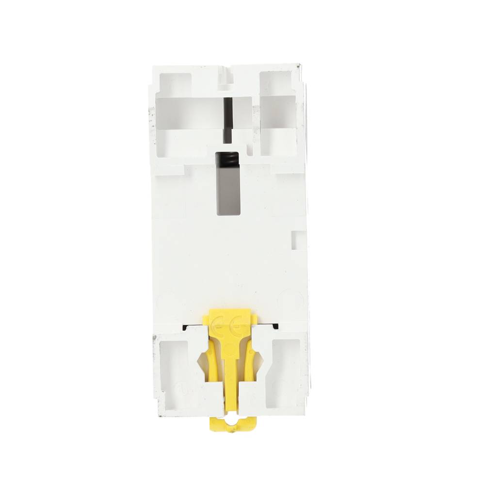 Miniatuur van Schneider Electric aardlekschakelaar 2-polig 63A 300mA type A (R9R45263)