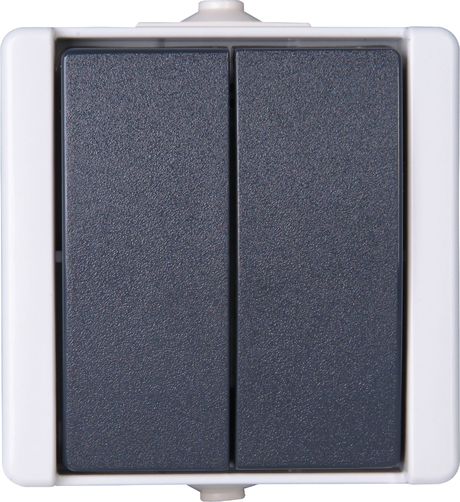 Miniatuur van EMhub Aquadro serieschakelaar 10A IP44 - grijs (4088111)