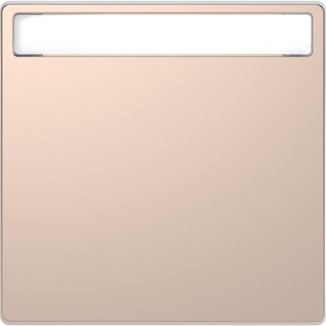 Miniatuur van Schneider Electric D Life wisselwip met controlevenster - champagne metallic (MTN3360-6051)