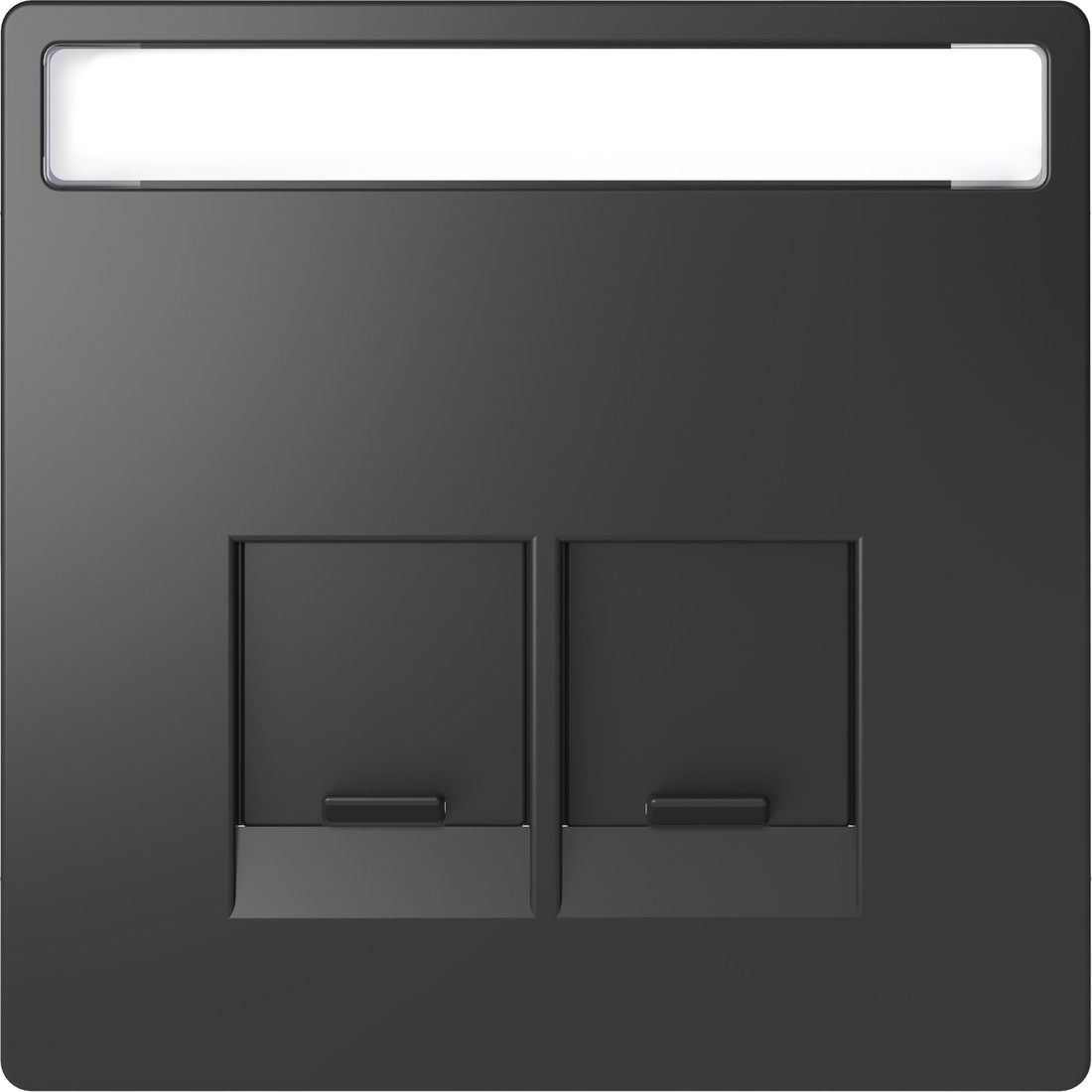 Miniatuur van Merten by Schneider Electric D Life centraalplaat 2-voudig met tekstvenster - antraciet (MTN4574-6034)