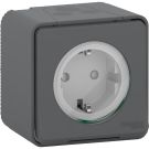 Schneider-Merten stopcontact met klapdeksel IP55 - Mureva Styl mat grijs (MUR36034)