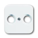 Busch-Jaeger centraalplaat radio/tv - alpin wit (2531-214)