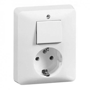 PEHA combinatie serieschakelaar en stopcontact met randaarde - standaard alpin wit (H 80.6685.02)