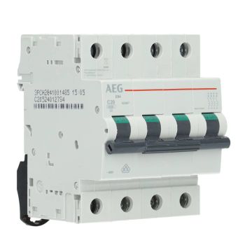 AEG krachtgroep 3-polig+nul 20A C-kar (667627)