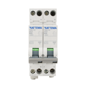 ATTEMA fornuisgroep 2-polig+2 nul 20A B-kar (AT90207)