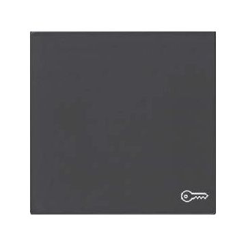 Kopp HK07 bedieningswip met lens en symbool 1-voudig antraciet (490466005)