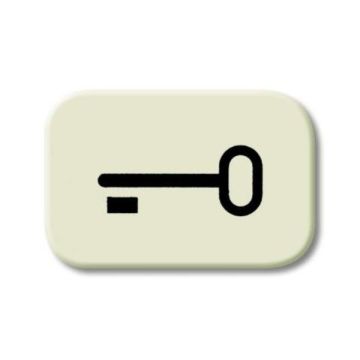 ABB Busch-Jaeger 2525 TR BJ LICHTVENSTER SLEUTEL SI WIT (2525 TR)