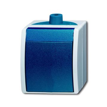 Busch-Jaeger installatieschakelaar 2-polig IP44 opbouw (2601/2 W-53-503)