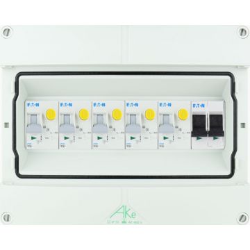 Eaton componenten in waterdichte (IP55) groepenkast 5 aardlekautomaten 1 fase 250x200 (BxH)