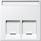 Schneider-Merten systeem M centraalplaat voor RJ45 2-voudig - polarwit (MTN469919)