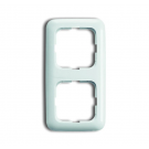 ABB Busch-Jaeger afdekraam 2-voudig - alpin wit (2512-214)