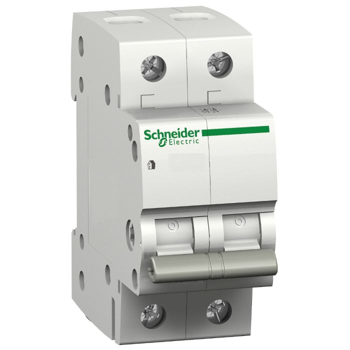 Schneider Electric hoofdschakelaar 2-polig 63A (12461)