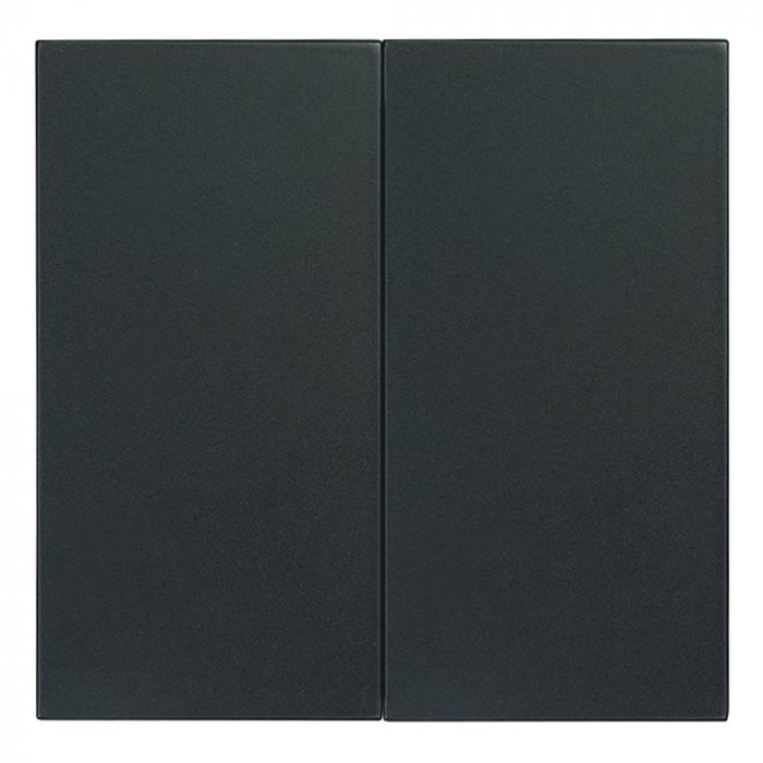 EMhub Quadro55 (by Kopp) dubbele bedieningswip tbv serie- en wissel/wisselschakelaar - zwart mat (4088082)