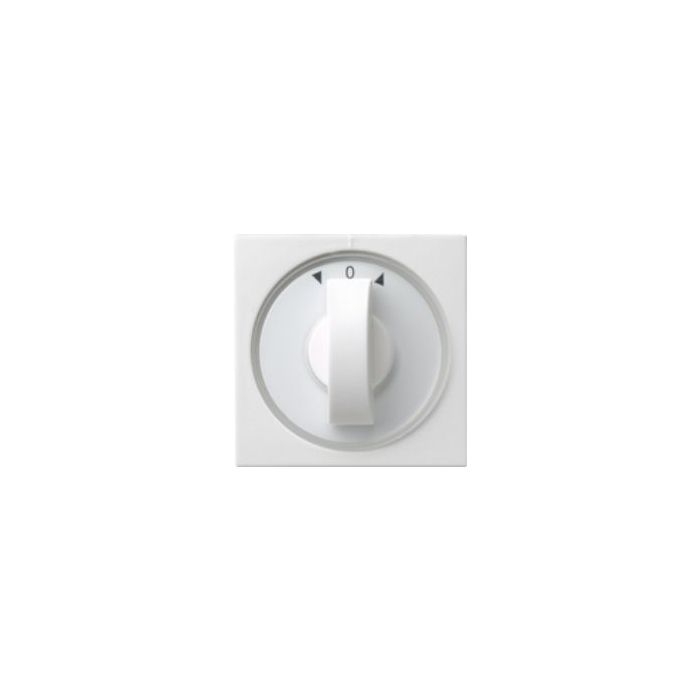Gira 125003 Huisstation AP Systeem 55 - Zuiver Wit Glanzend, Handsfree
