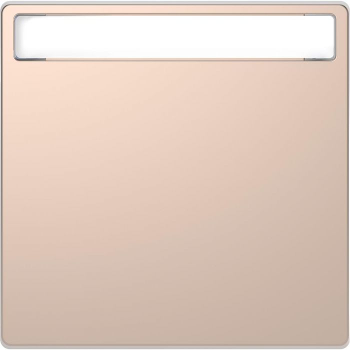 Schneider Electric D Life wisselwip met controlevenster - champagne metallic (MTN3360-6051)