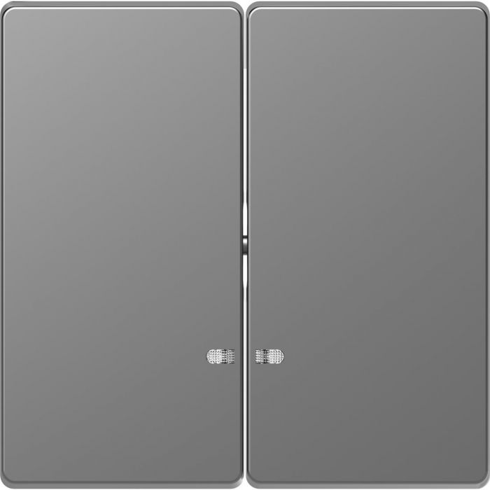 Schneider Electric D Life seriewip met controlevenster - RVS look (MTN3420-6036)
