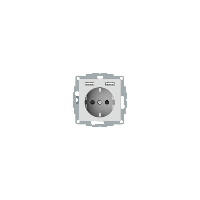 Schneider Electric Merten wandcontactdoos systeem M dubbele USB-poort 2.4 16A (MTN2366-0325)