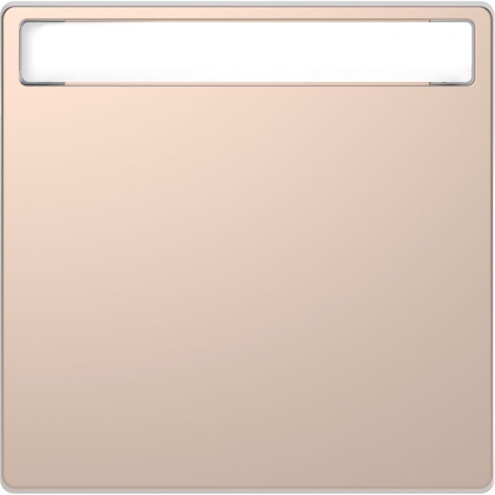 Schneider Electric D Life wisselwip met controlevenster - champagne metallic (MTN3360-6051)