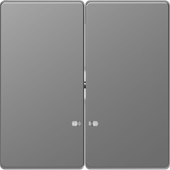 Schneider Electric D Life seriewip met controlevenster - RVS look (MTN3420-6036)