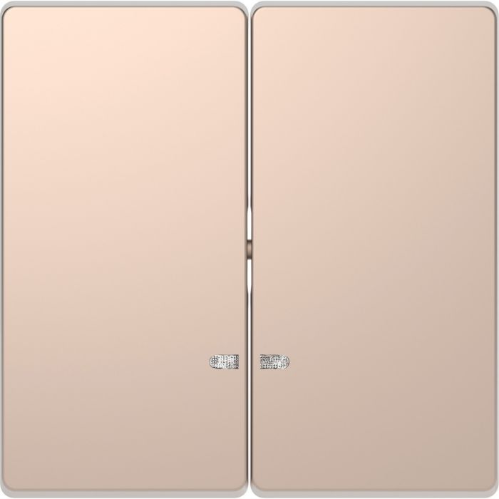 Schneider Electric D Life seriewip met controlevenster - champagne metallic (MTN3420-6051)