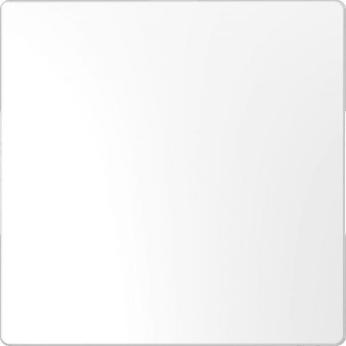 Schneider Electric D Life blindplaat  - lotuswit (MTN4075-6035)