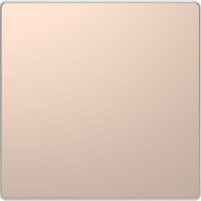 Schneider Electric D Life blindplaat - champagne metallic (MTN4075-6051)
