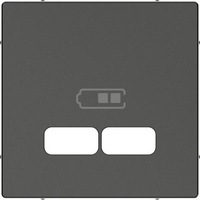 Schneider Electric systeem M centraalplaat voor USB - antraciet (MTN4367-0414)