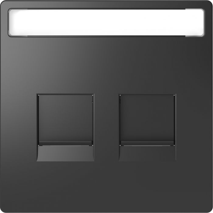 Schneider Electric D Life centraalplaat modulair Jack 2-voudig met tekstvenster - antraciet (MTN4564-6034)