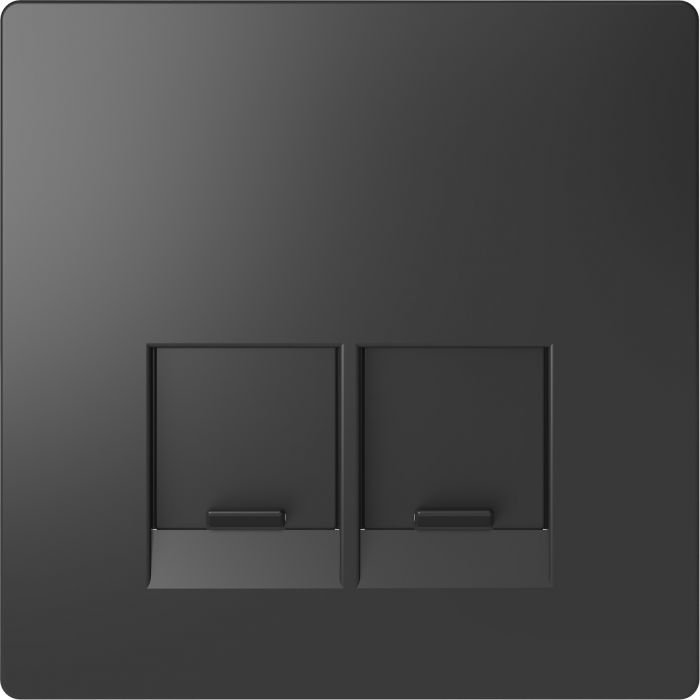 Schneider-Merten D Life centraalplaat 2-voudig - antraciet (MTN4572-6034)