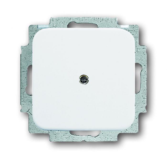 ABB Busch-Jaeger blindplaat met draagraam - alpin wit (2538-214)