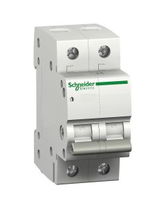 Schneider Electric hoofdschakelaar 2-polig 63A (12461)
