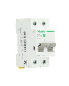 Schneider Electric hoofdschakelaar 2-polig 40A (R9PS240)