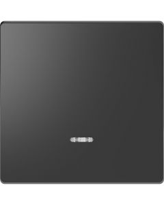 Schneider Electric D Life wisselwip met controlevenster - antraciet (MTN3320-6034)