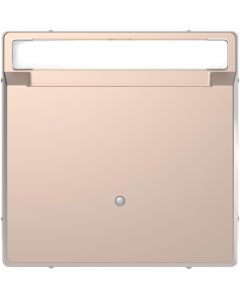 Schneider Electric D Life kaartschakelaar met tekstvenster - champagne metallic (MTN3854-6051)