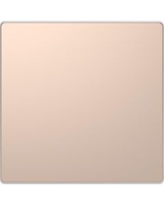 Schneider Electric D Life blindplaat - champagne metallic (MTN4075-6051)