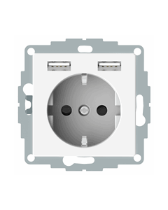 Schneider Electric Merten wandcontactdoos systeem dubbele USB-poort 2.4A 16A (MTN2366-0319)