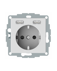 Schneider Electric Merten wandcontactdoos systeem M dubbele USB-poort 2.4 16A (MTN2366-0325)