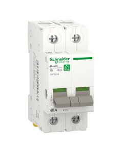 Schneider Electric hoofdschakelaar 2-polig 40A (R9PS240)