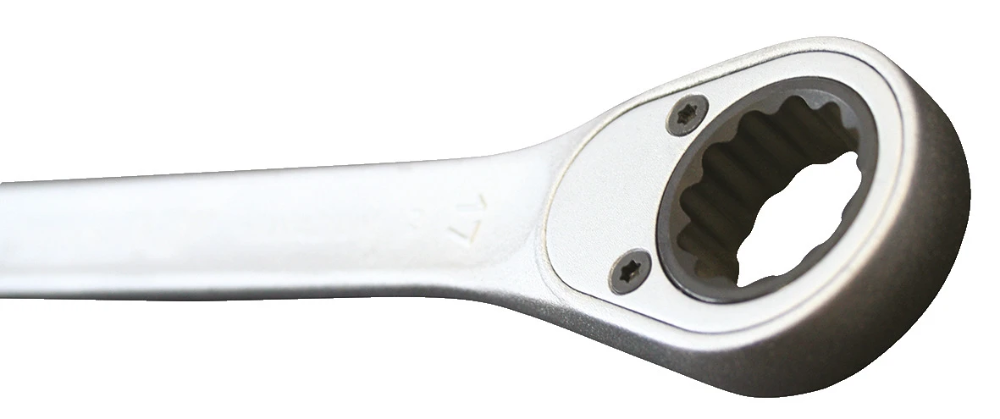 Miniatuur van GEDORE ringratel steeksleutel met UD-profiel 10mm lengte 160mm (7 R 10)