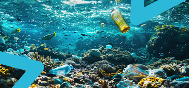 Wat is Schneider-Merten Ocean Plastic?